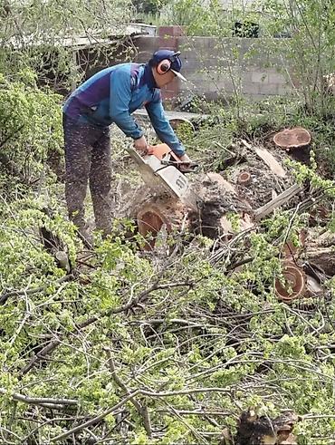 Спил деревьев, заготовка дров: Спил деревьев любой сложности. Промышленный альпинизм и верхолазные at lalafo.kg — 3 Спил деревьев, заготовка дров: Спил деревьев любой сложности. Промышленный альпинизм и верхолазные — 3