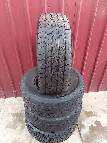 Шиналар жана дисктер: 265/70 r16

terraflex grandpower a/t

цена без торга — 1