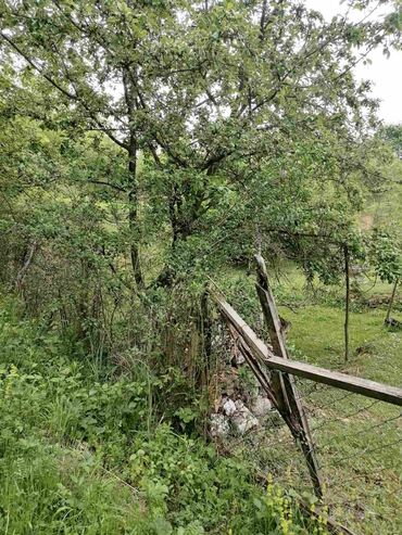 Prodaja zemljišta: Prodajem ili bih menjao tri vezana placa u Loznici od 30 ari sa — 11