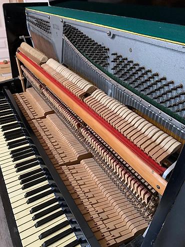Клавишные инструменты: Oktava modeli piano – akustik Xüsusiyyətlər: - Tip: Şaquli (upright) — 3