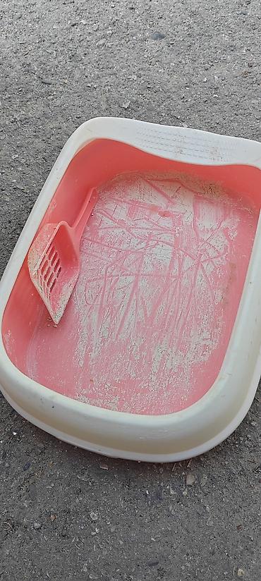 Heyvanlar: Məhsul: Pişik tualeti qabı və kürəciyi - Material: davamlı plastik - — 2