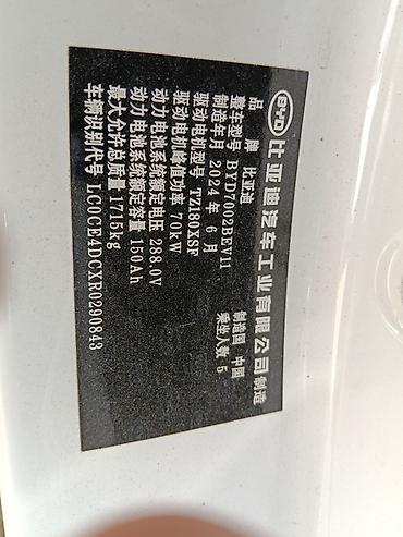 BYD: BYD E2: 2024 г., Автомат, Электромобиль, Хэтчбэк — 9