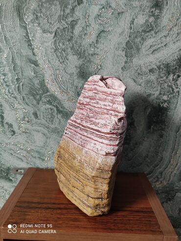 Аквариумы: Водоросли живые: Анубиас Бартера нана ( цветёт белыми и розовыми — 15