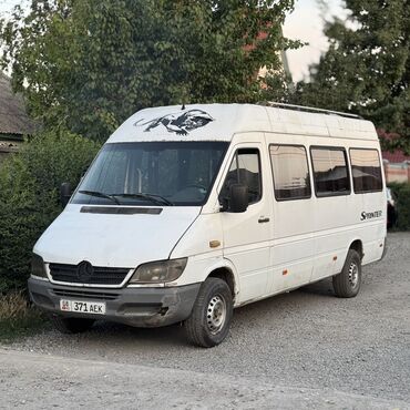 Mercedes-Benz: Mercedes-Benz Спринтер: 2006 г., 2.9 л, Механика, Дизель, Бус