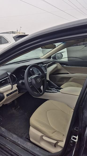 Toyota: Toyota Camry: 2019 г., 2 л, Автомат, Бензин, Седан — 6