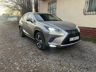 lexus nx 300h: Lexus NX: 2019 г., 2.5 л, Автомат, Гибрид, Внедорожник