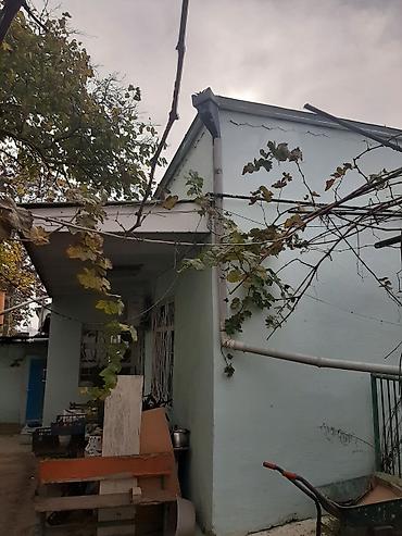 Torpaq: 13 sot, Tikinti, Maklerlər narahat etməsin, Bələdiyyə, Kupça (Çıxarış) — 7