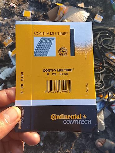 opel mator: Continental ContiTech Conti-V MultiRib çox yivli kəmərlər Məhsul — 4
