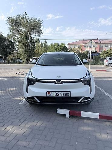 hozon: Hozon Neta U-II: 2023 г., 0.1 л, Автомат, Электромобиль, Кроссовер — 1