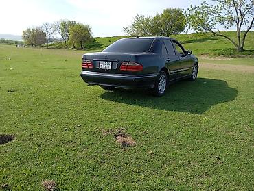 выхлоп w210: Mercedes-Benz E-Class: 2000 г., Седан — 5