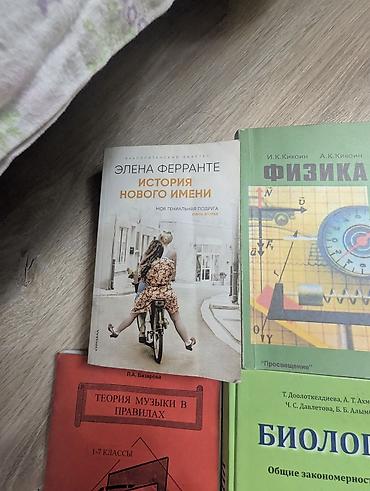 Другие учебники: Набор учебников и книг, преимущественно для 9 класса. В комплект — 15