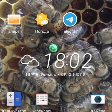 С/х животные и товары: Минуточку внимания!!! Аары пчеловод мёд бал аары матки маточники
