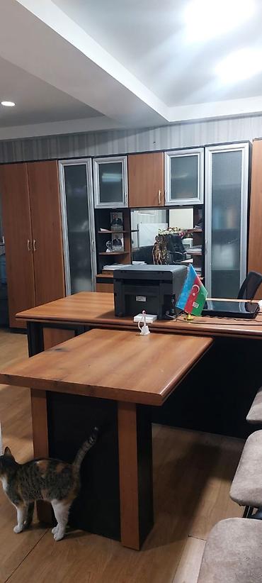 see breeze: Ofis çox rahat yerdə Yeni Hilton Qatden Hotelinin hollivudun məhəlləsi — 1