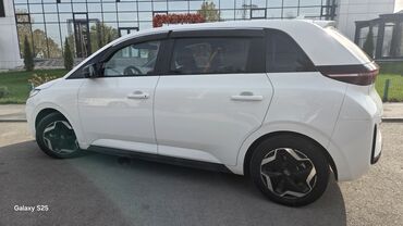 BYD: BYD : 2021 г., Автомат, Электромобиль, Универсал — 4