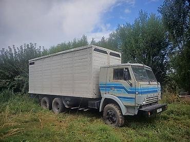 будка токмок: Грузовик, Б/у — 5
