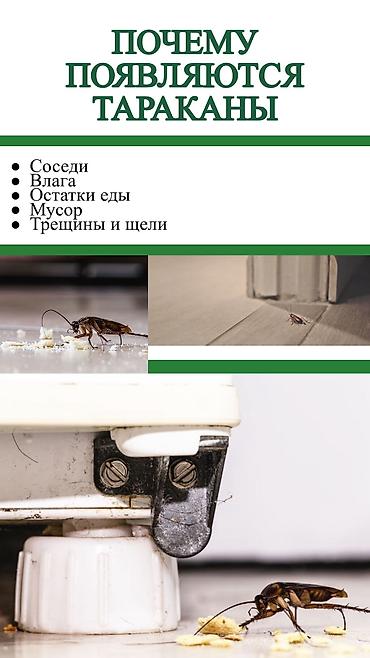 fre fire: Дезинфекция, дезинсекция, | Блохи, Вирусы, микробы, Клопы, | Кафе, магазины, Квартиры, Офисы — 5