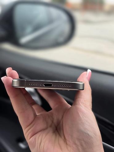 1250: IPhone 15 Pro Max, 256 GB, Gümüşü, Face ID — 3
