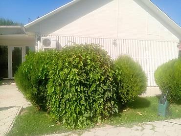 Продажа коттеджей и домов: Дом совхоз ала тоо с ремонтом,кондиционер,отопление комбинированный,3 — 18