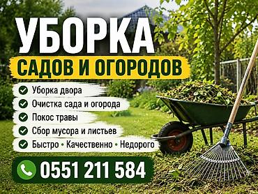 уборка двора: Уборка территории, Уборка двора и сада — 1