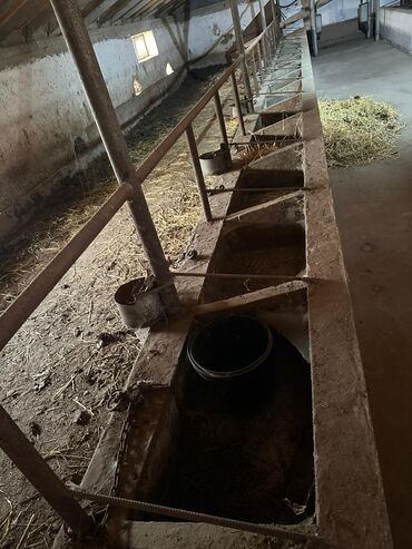 Продажа домов: Времянка, 400 м², 2 комнаты, Собственник — 7