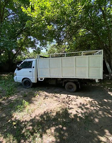 Жеңил жүк ташуучу унаа, Hyundai, Колдонулган — 4