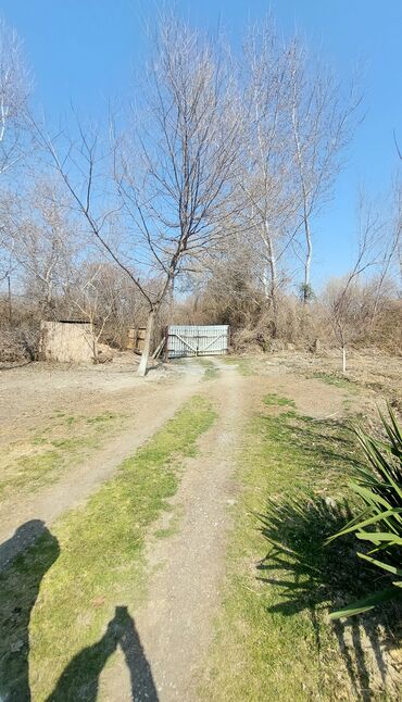 Bağ evlərinin satışı: Göyçay, 110 kv. m, 3 otaqlı, Hovuzsuz, İşıq — 9