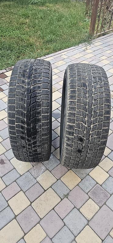 renault master: Пара зимних шин Dunlop 235/55 R19 101Q - Бренд: Dunlop - Модель — 1