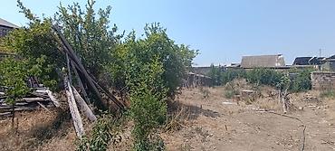 sahe: 10 sot, Biznes üçün, Makler, Kupça (Çıxarış) — 7