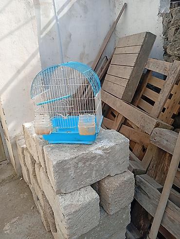 bulbul qəfəsi: Quş qəfəsi satılır. Metal telli konstruksiyaya malik, üst hissəsi tağ — 3