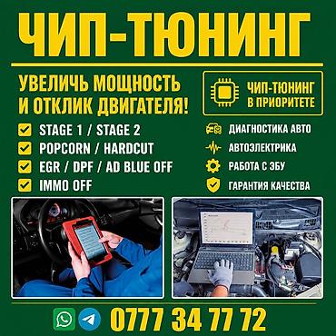 электро шиты: Чип-тюнинг ⚡ Stage 1 / Stage 2 💥 Popcorn / Hardcut 🔓 Immo Off 🛠️ — 1