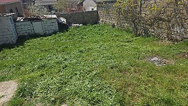 Həyət evləri və villaların satışı: 2 otaqlı, 75 kv. m — 11