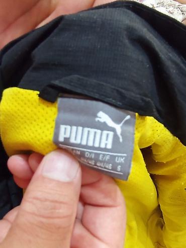 куплю одежды: Куртка /ветровка Puma BVB 09 (Borussia Dortmund) + стёганый жилет — 3