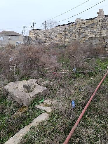 Digər biznes avadanlığı: Seva 🌼. 1519 Fazenda yeni yaşayis mastivi kərpic zavod yolunun üstündə — 1