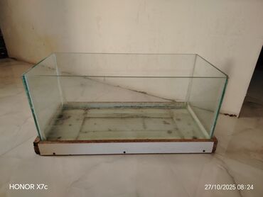 xacmaz heyvan bazari: Şüşə akvarium - Material: şəffaf qalın şüşə divarlar, alt hissə