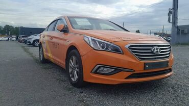 хундай аванте 5: Hyundai Sonata: 2018 г., 2 л, Автомат, Газ, Седан