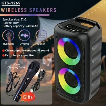 type c type c: Портативная акустическая система KTS-1265 с двумя динамиками и