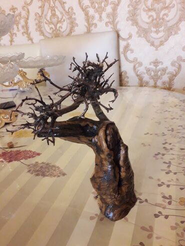 Fiqurlar: Fiqur — 5