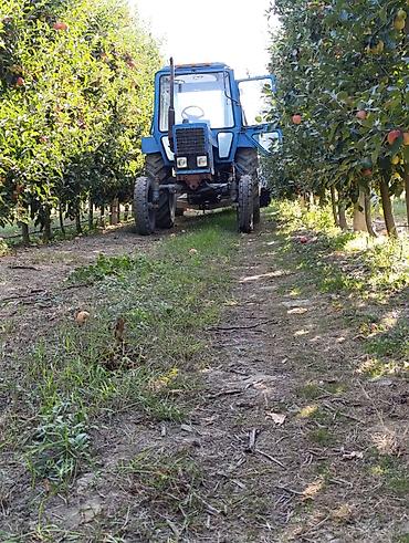 015 maşını: Məhsul: Belarus traktoru (MTZ seriyası) Təsvir: - Korpus: Kabinəli — 1