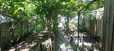 Продажа коттеджей и домов: *СОБСТВЕННИК ЗВОНИТЕ * 🏡 *Продается уютная 5-комнатная квартира с — 14