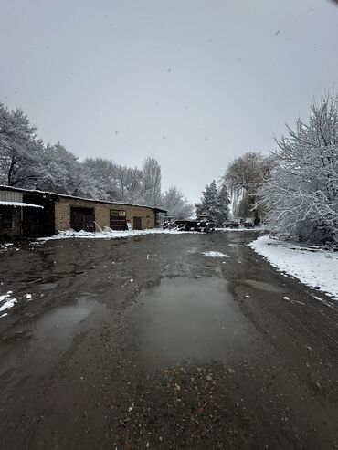 Продажа участков: 127 соток, Для строительства, Красная книга, Тех паспорт, Договор купли-продажи — 1