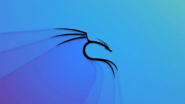 Ноутбуки, компьютеры: Помгу выбрать Какой Linux выбрать для какой задчи #wife#v189omz