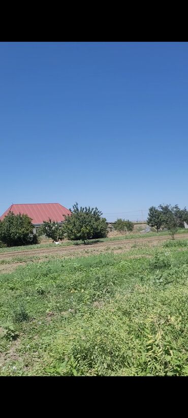 qəbələ rayonu: 14 sot, Kənd təsərrüfatı, Kupça (Çıxarış)