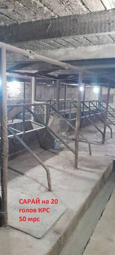 Продажа домов: Дом, 150 м², 5 комнат, Собственник, Евроремонт — 26