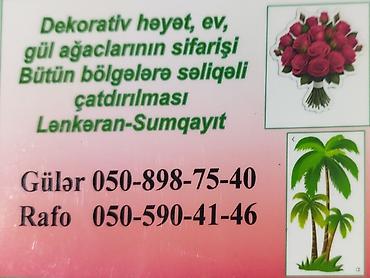 Ağaclar: 0508987540)ad:Gülər🪴HərnövDekor Gül Ağac Sifarişi Satişi Bütün — 13