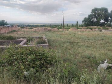 кара балта алексеевка: 5 соток, Курулуш