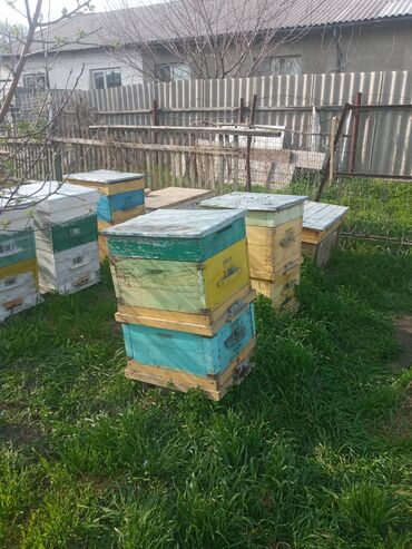 металлический ящик: Продаю пчел, порода немка,с ящиками и на высотку, сила разная