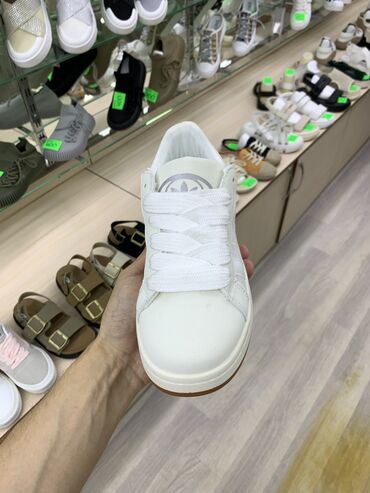 кеды обувь: Кеды Adidas Campus (люксовая реплика) Самая вкусная цена в Бишкеке -