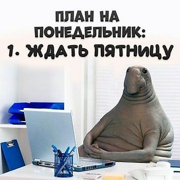 Готов на подработку/работу на выходных. ЛЮБОЕ предложение меня