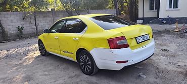 сары булун: Skoda Octavia: 2016 г., 1.6 л, Автомат, Бензин, Седан — 3