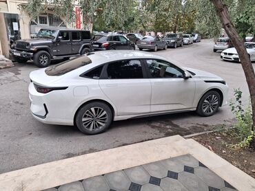 Yağlar və avtokimyəvi maddələr: Ağ rəngli, aerodinamik kuzovlu müasir sedan. Xüsusiyyətlər: -